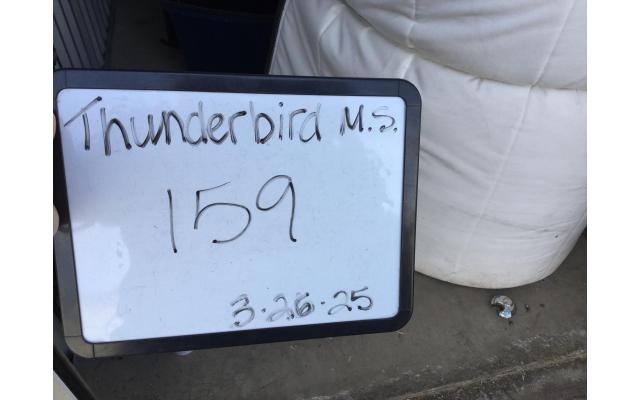 Thunderbird Mini 8466643159 Peoria