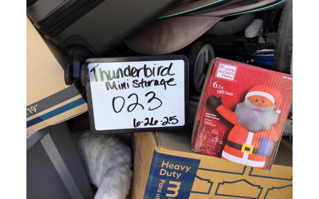 Thunderbird Mini 8466484023 Peoria